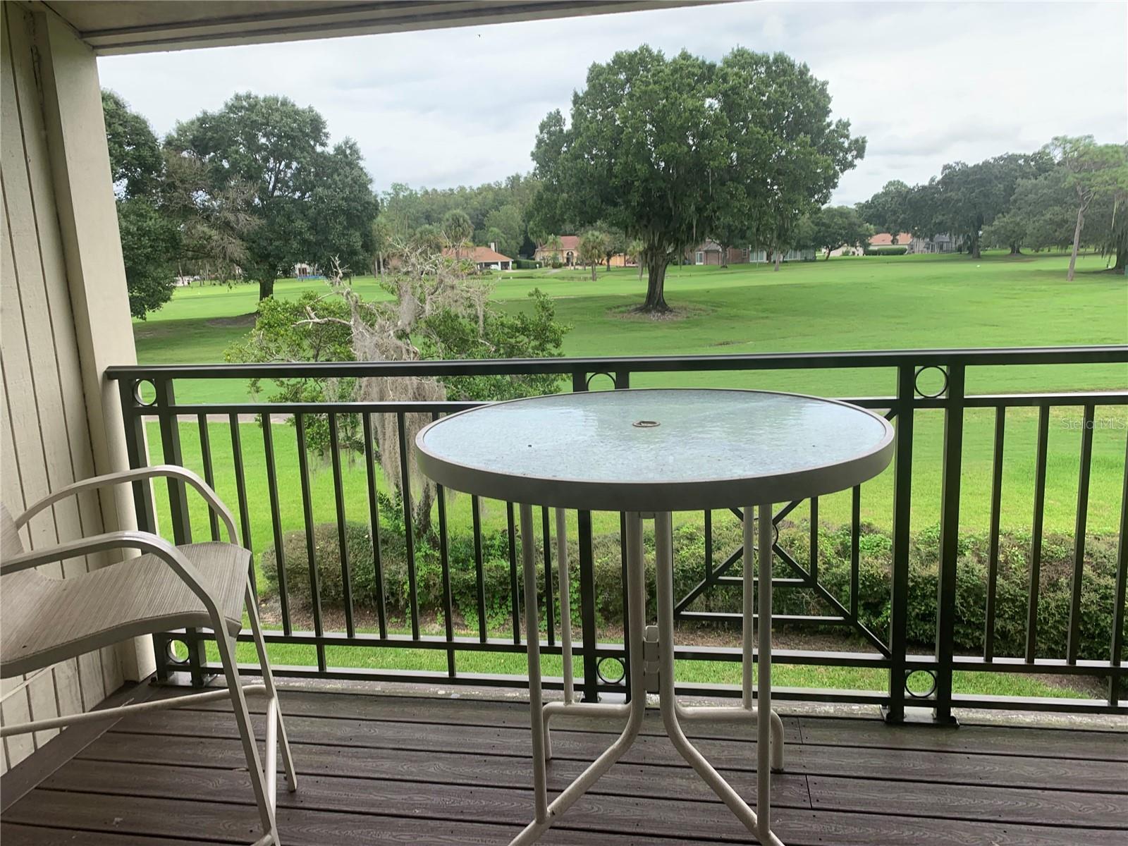 29129 BAY HOLLOW DR #3208, WESLEY CHAPEL, FL, 33543