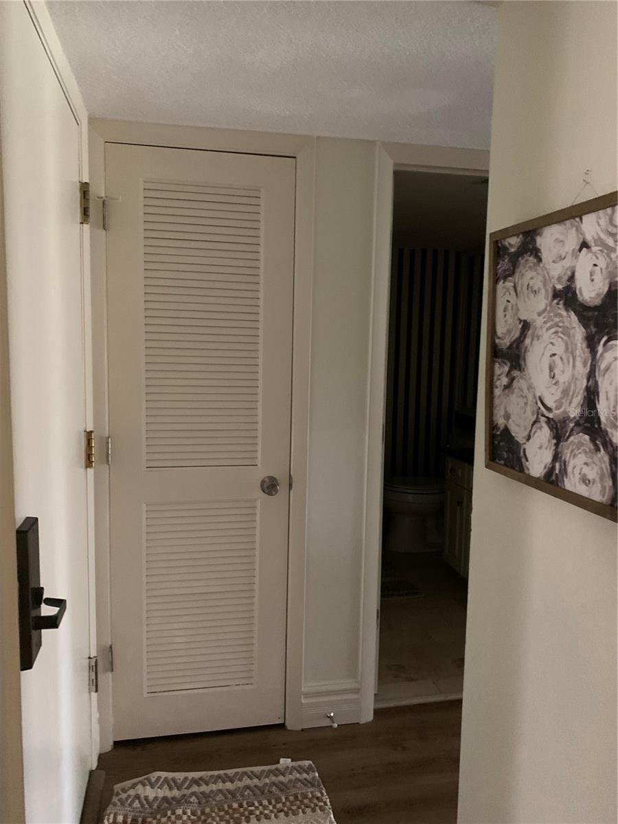 29129 BAY HOLLOW DR #3208, WESLEY CHAPEL, FL, 33543