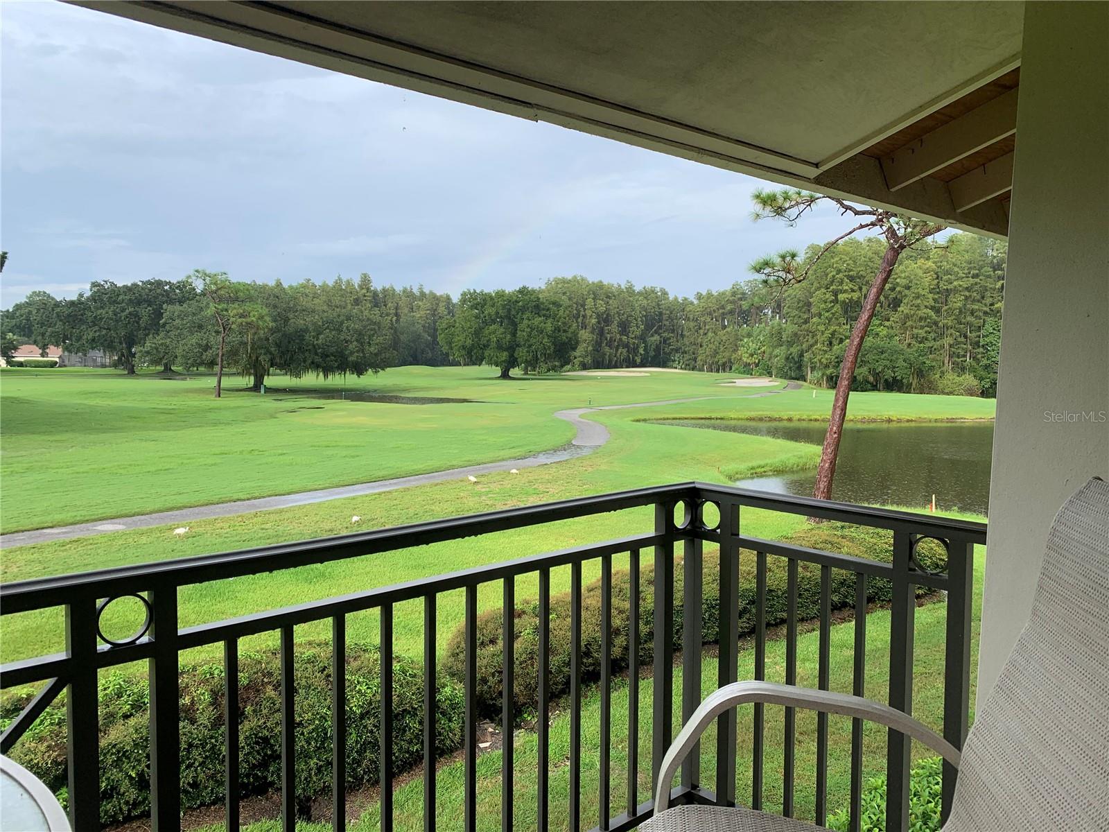 29129 BAY HOLLOW DR #3208, WESLEY CHAPEL, FL, 33543