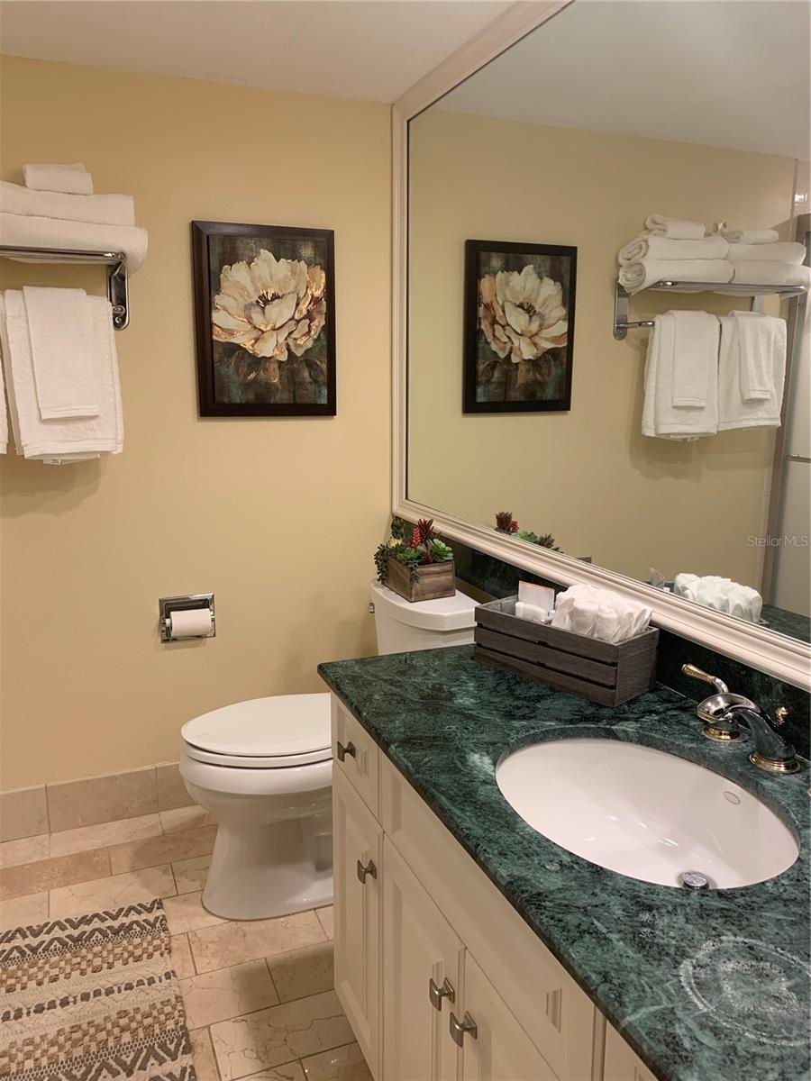 29129 BAY HOLLOW DR #3208, WESLEY CHAPEL, FL, 33543