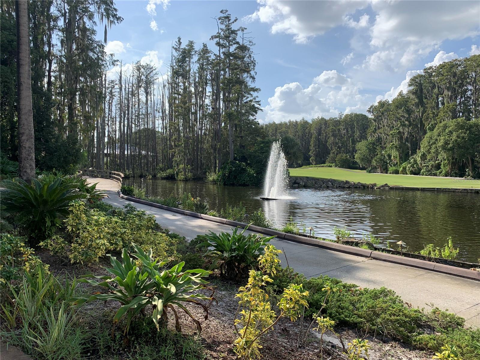 29129 BAY HOLLOW DR #3208, WESLEY CHAPEL, FL, 33543