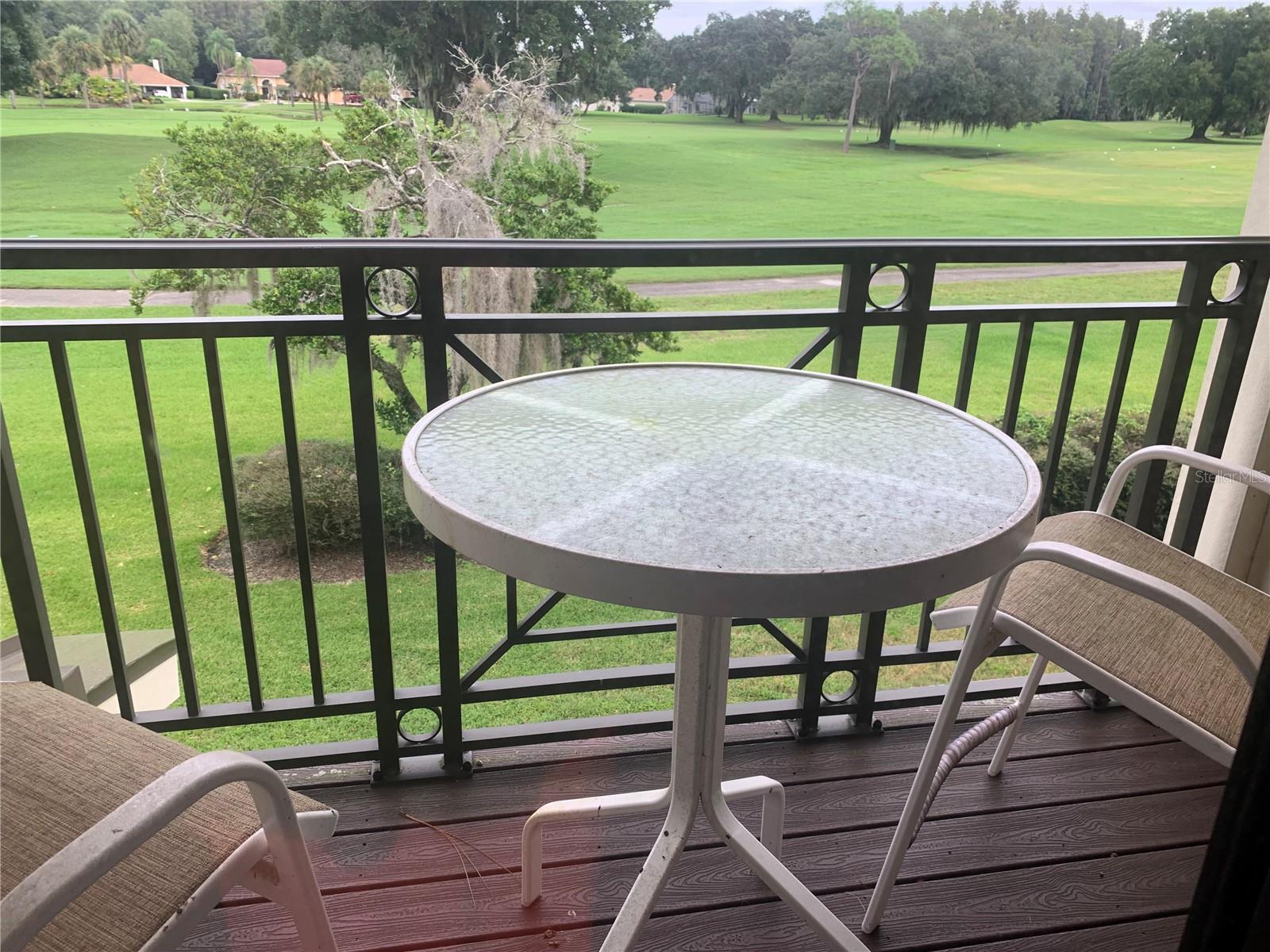 29129 BAY HOLLOW DR #3208, WESLEY CHAPEL, FL, 33543