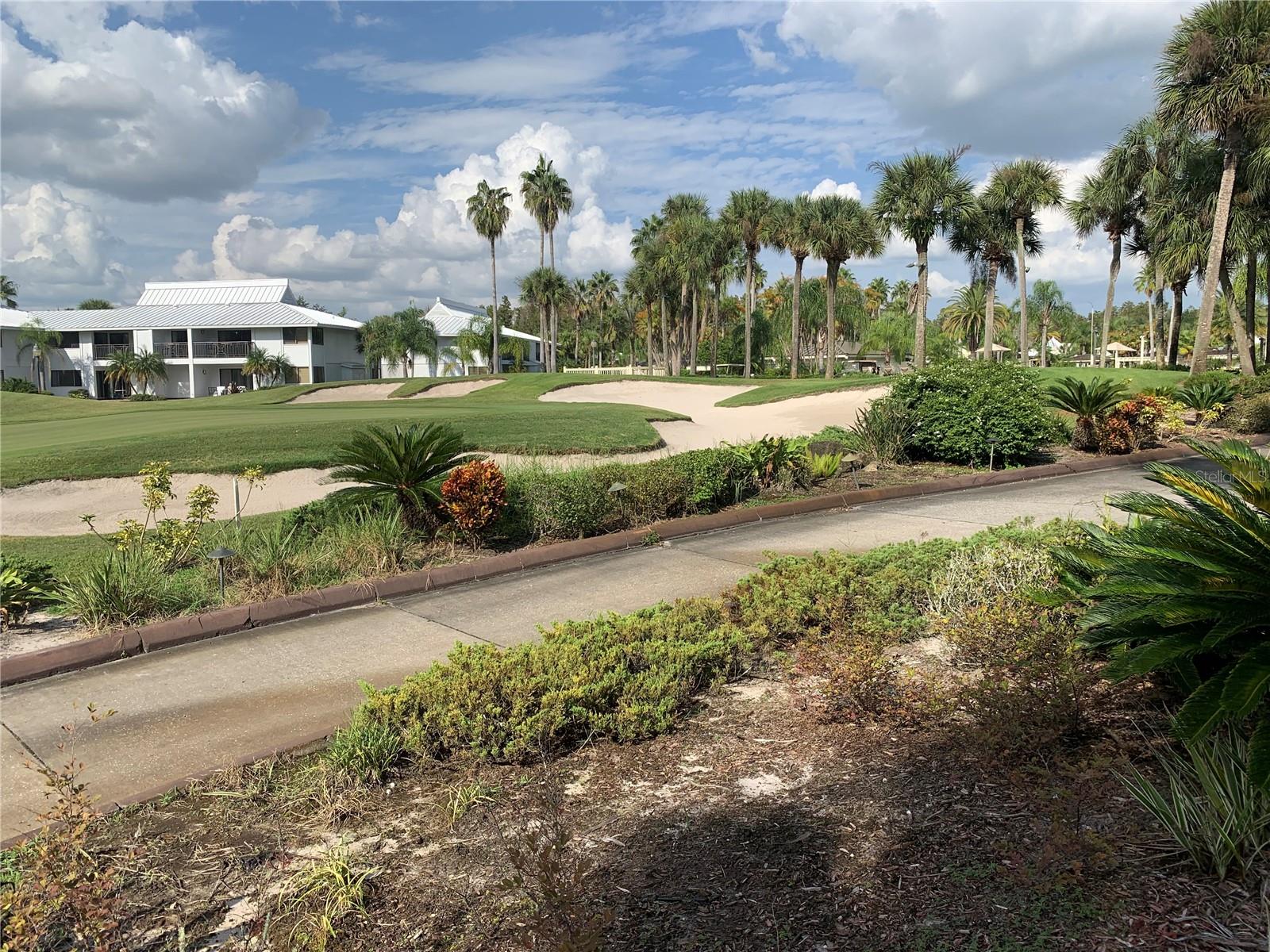 29129 BAY HOLLOW DR #3208, WESLEY CHAPEL, FL, 33543