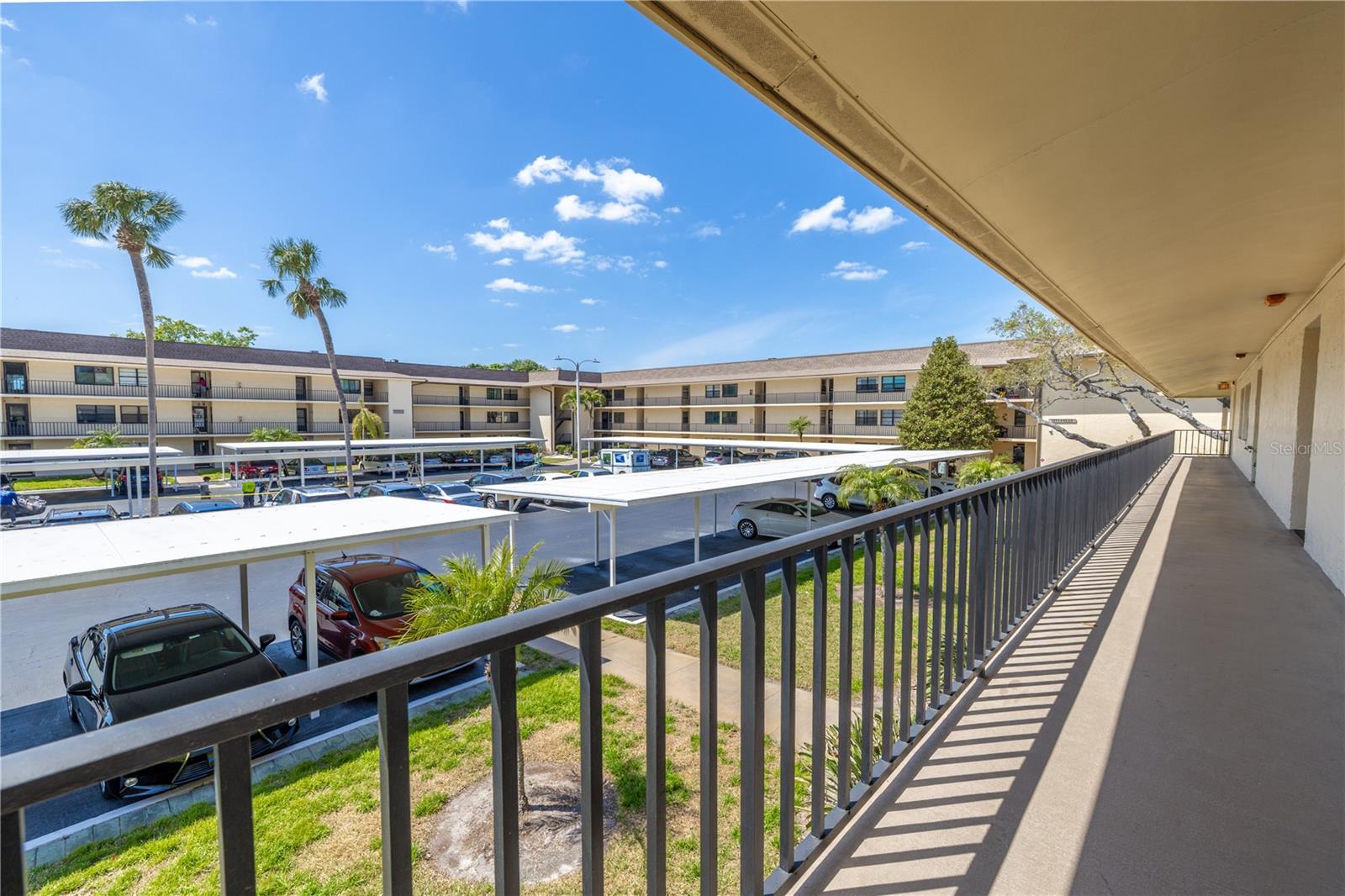12300 VONN RD #3204, LARGO, FL, 33774