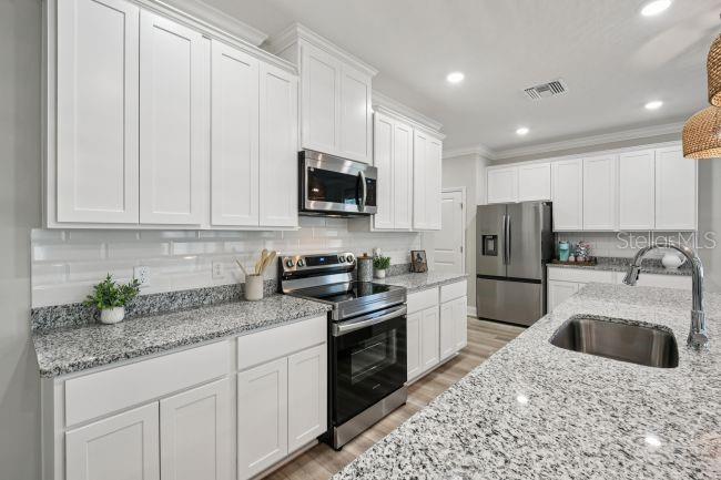 25488 CALUSA DR, PUNTA GORDA, FL, 33955