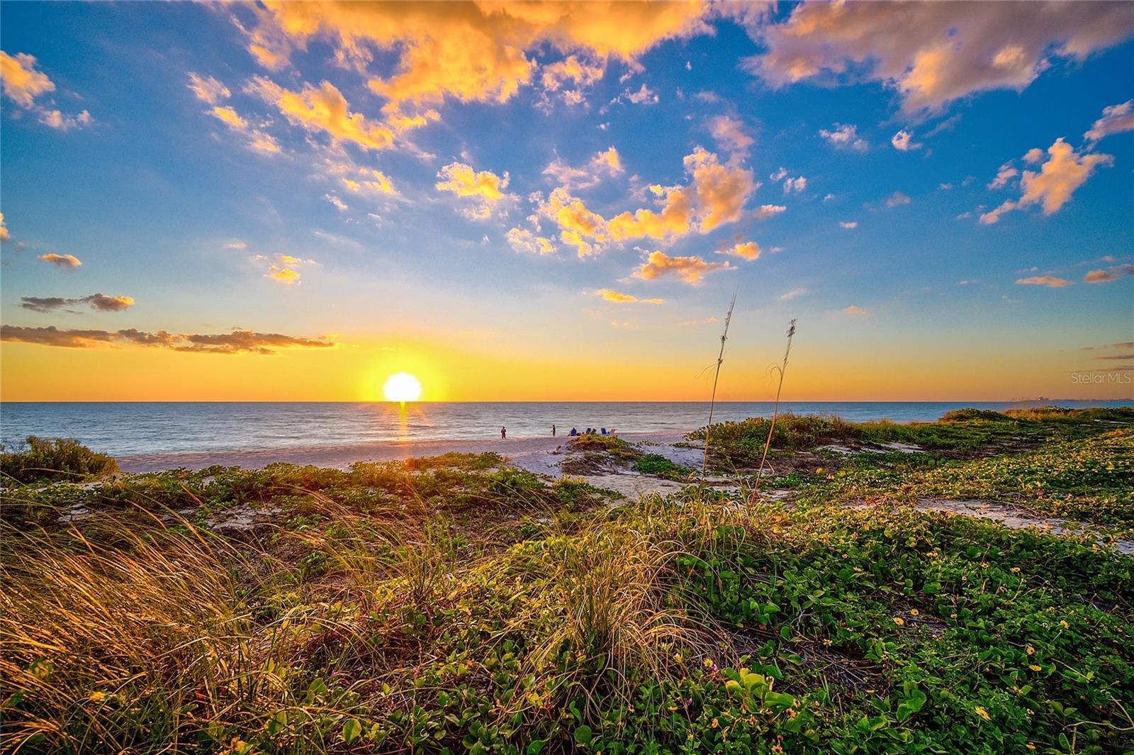 1172 HORIZON VIEW DR, SARASOTA, FL, 34242