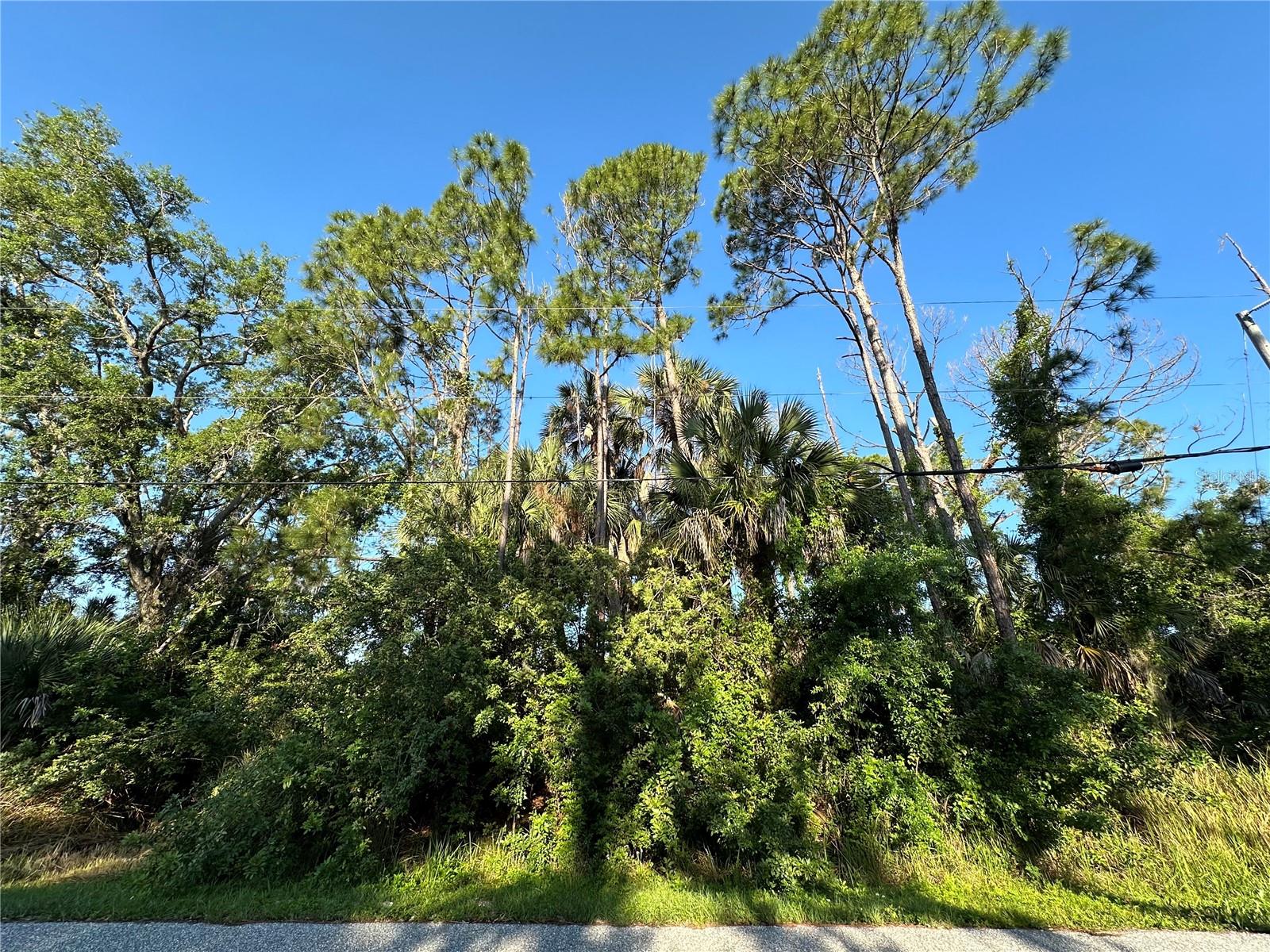BOBKO CIR, NORTH PORT, FL, 34291