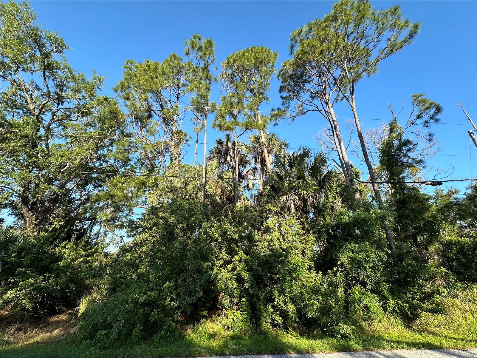 BOBKO CIR, NORTH PORT, FL, 34291