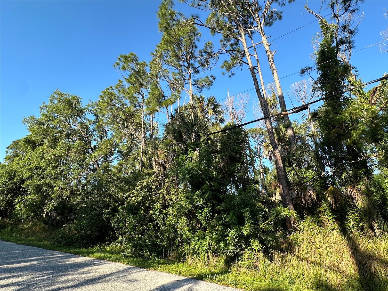BOBKO CIR, NORTH PORT, FL, 34291