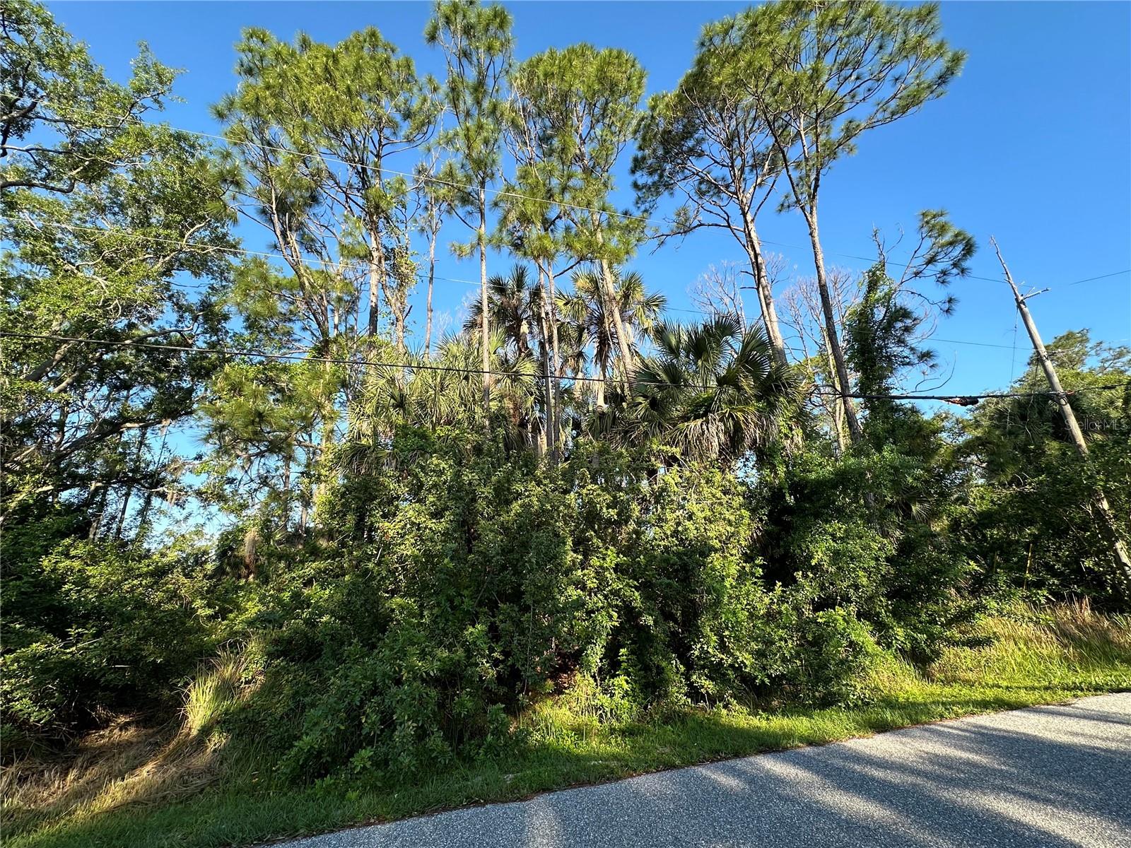 BOBKO CIR, NORTH PORT, FL, 34291