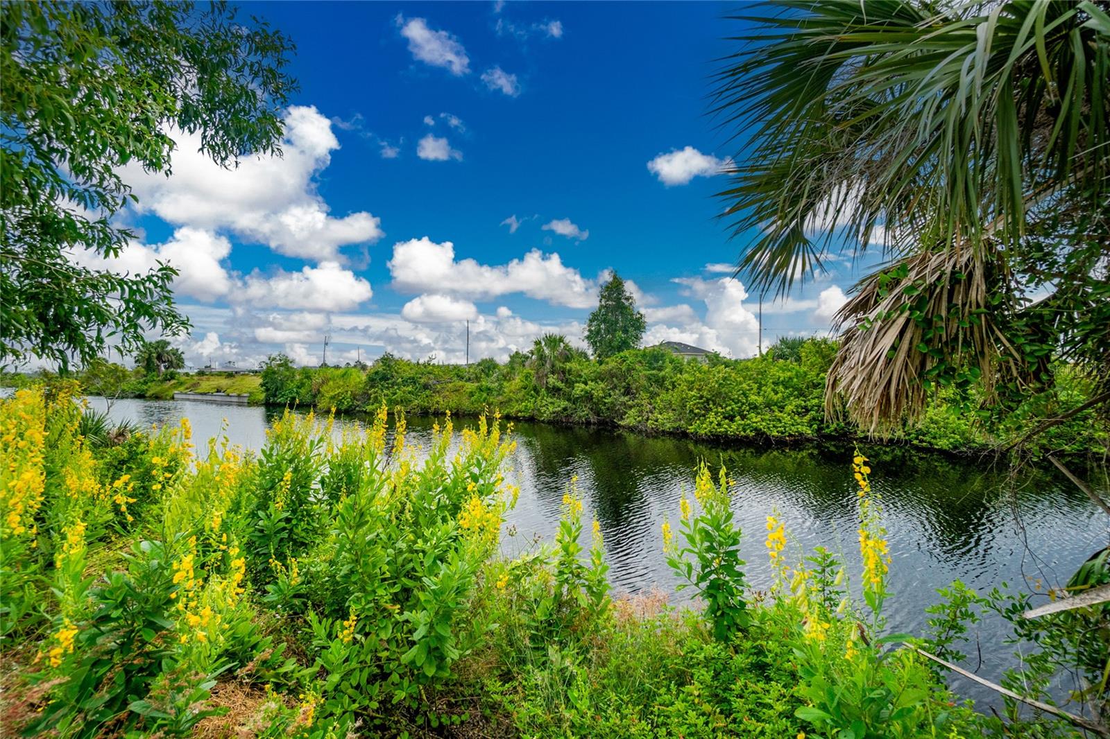 3902 NW 41ST LN, CAPE CORAL, FL, 33993