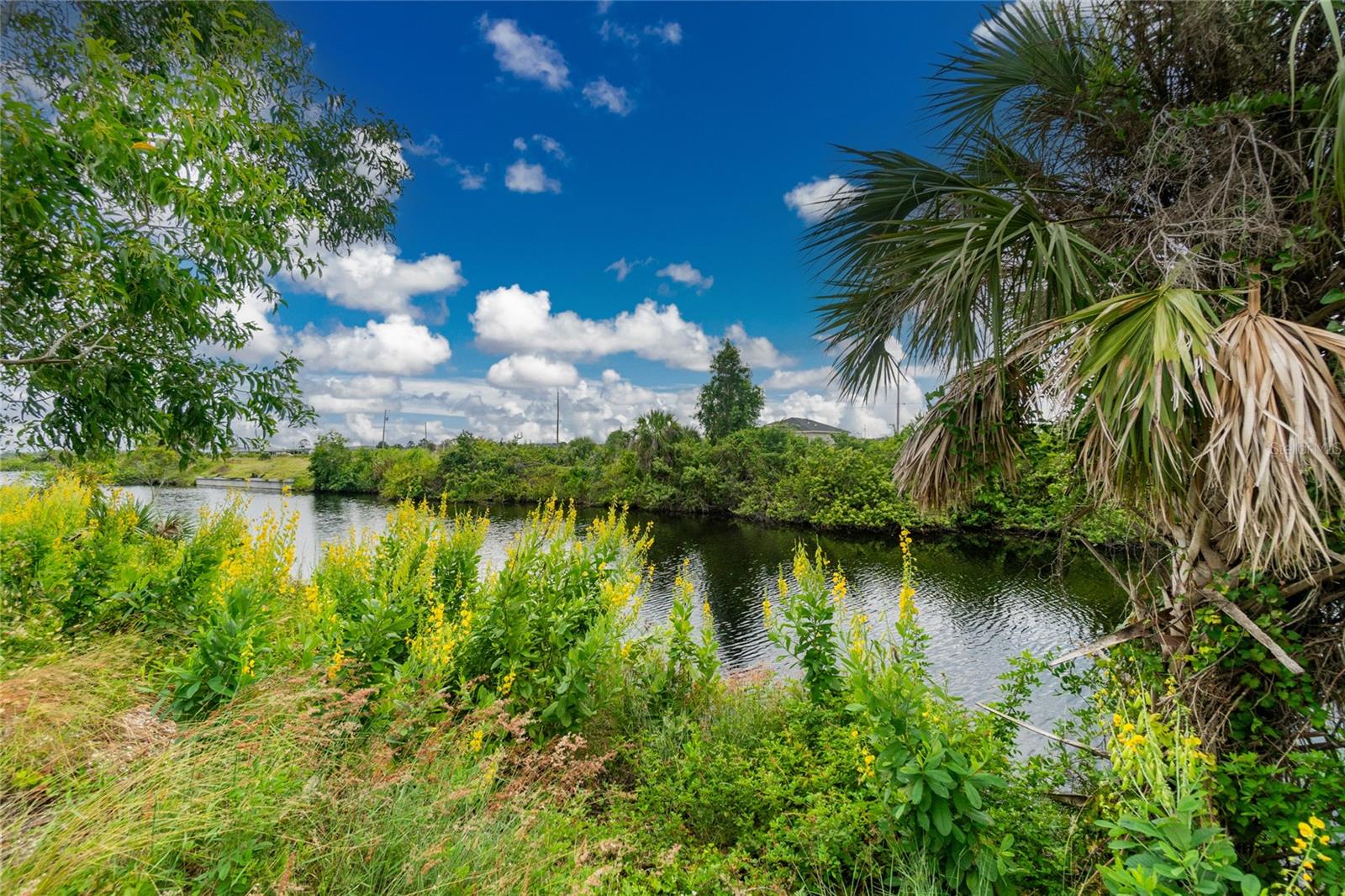 3902 NW 41ST LN, CAPE CORAL, FL, 33993