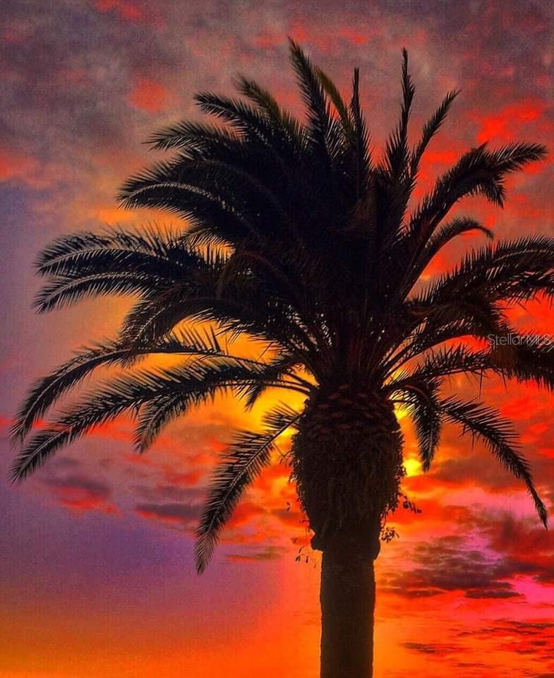 745 CORAL WAY, ENGLEWOOD, FL, 34223