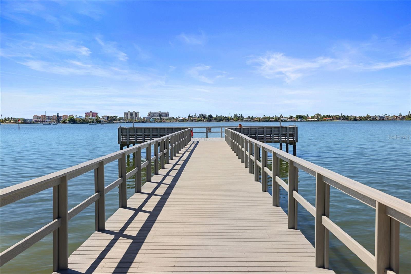 4550 COVE CIR #207, ST PETERSBURG, FL, 33708