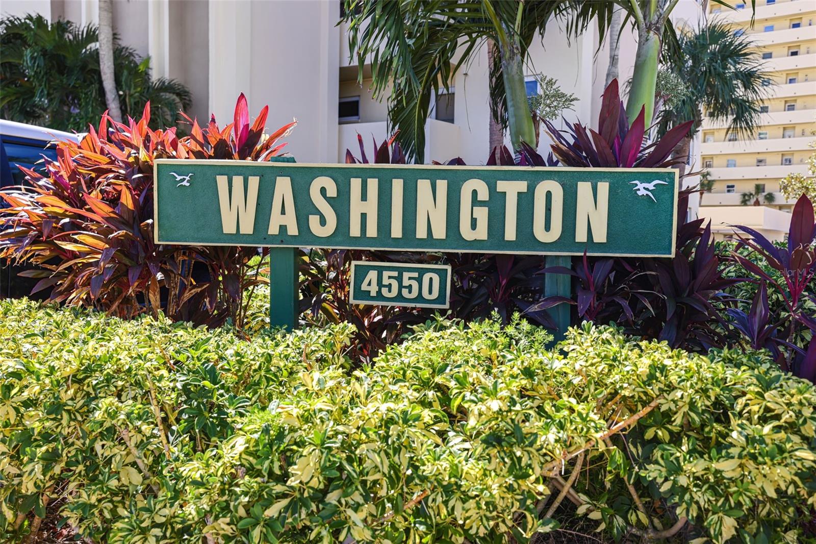 4550 COVE CIR #207, ST PETERSBURG, FL, 33708
