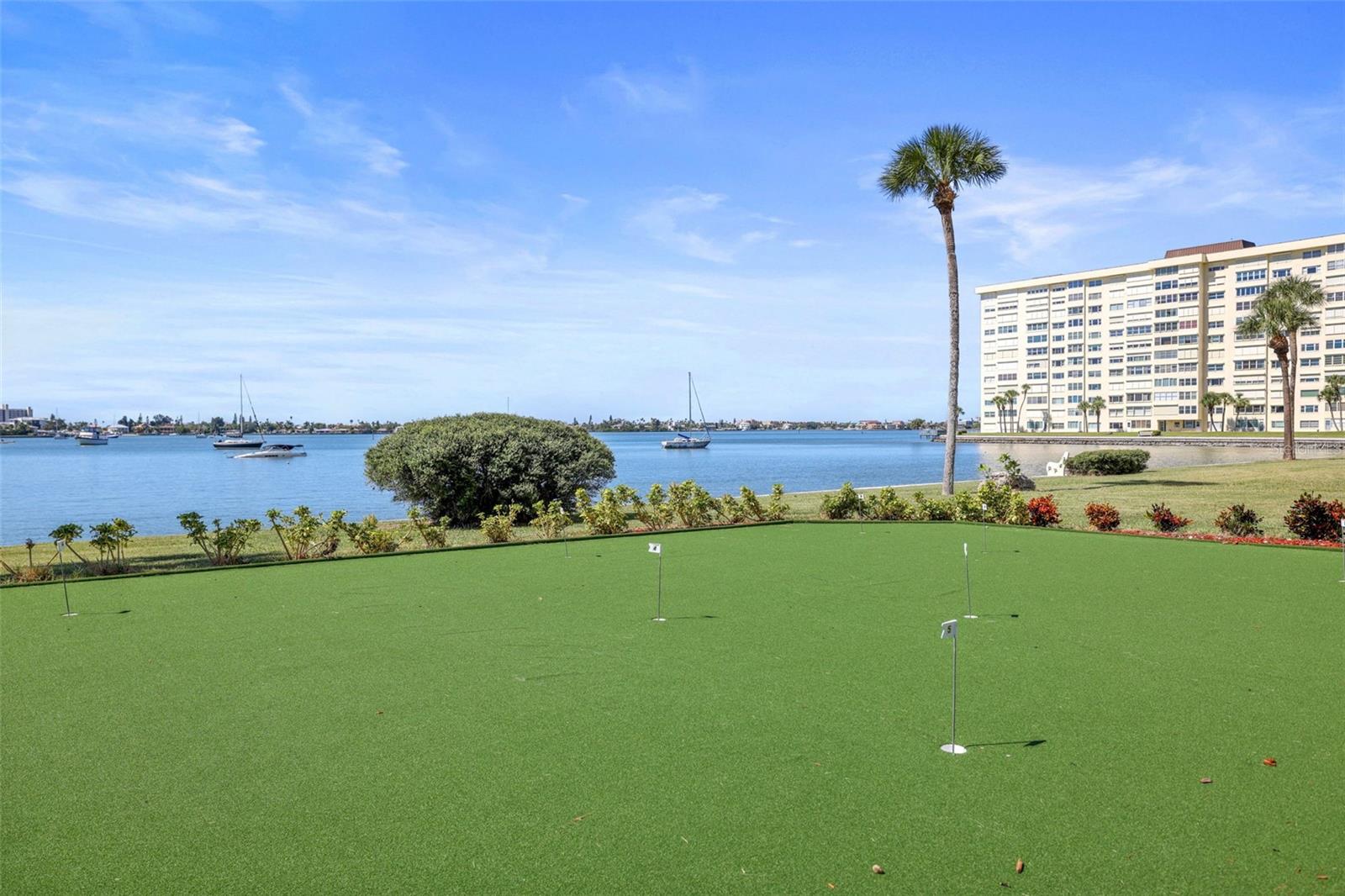 4550 COVE CIR #207, ST PETERSBURG, FL, 33708
