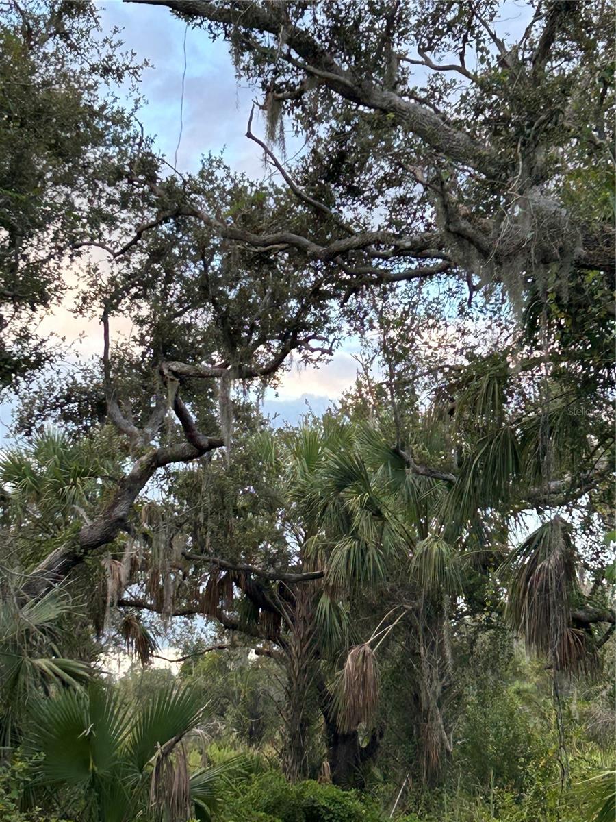 29431 NOTTINGHAM RD, PUNTA GORDA, FL, 33982