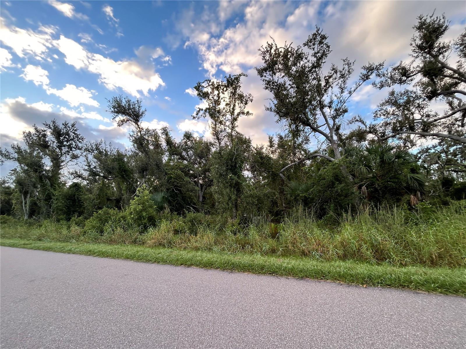 29431 NOTTINGHAM RD, PUNTA GORDA, FL, 33982
