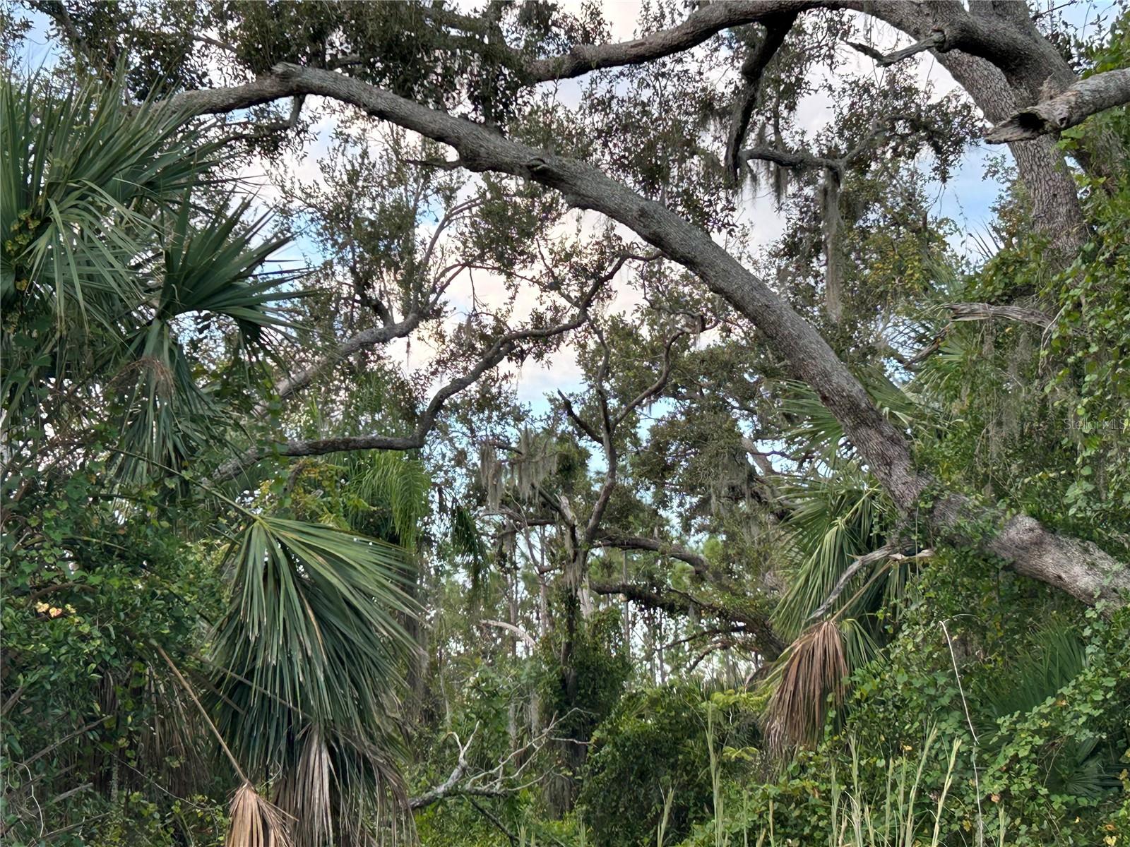 29431 NOTTINGHAM RD, PUNTA GORDA, FL, 33982