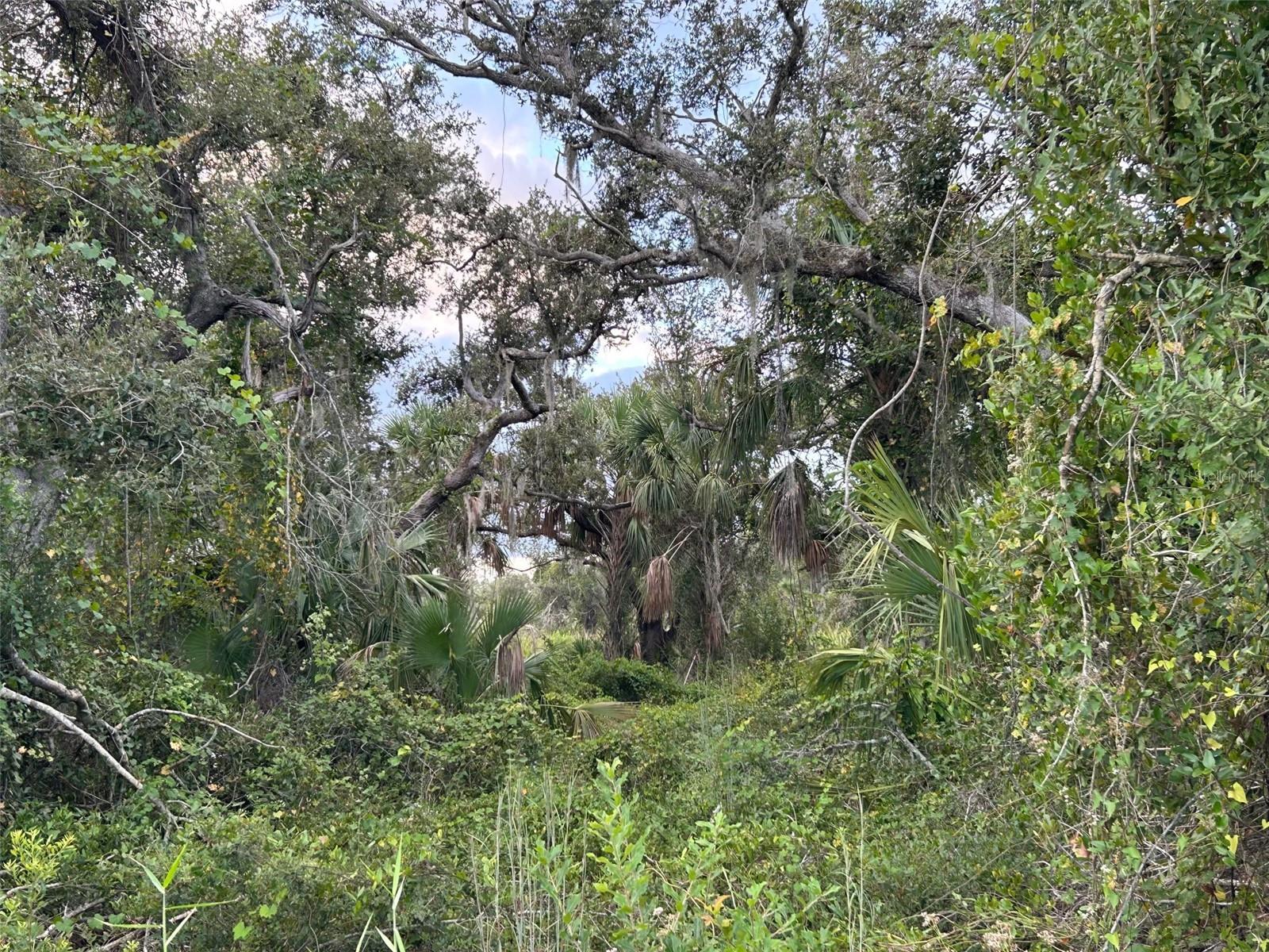 29431 NOTTINGHAM RD, PUNTA GORDA, FL, 33982