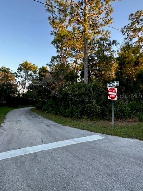 1407 COURTLAND BLVD, DELTONA, FL, 32738