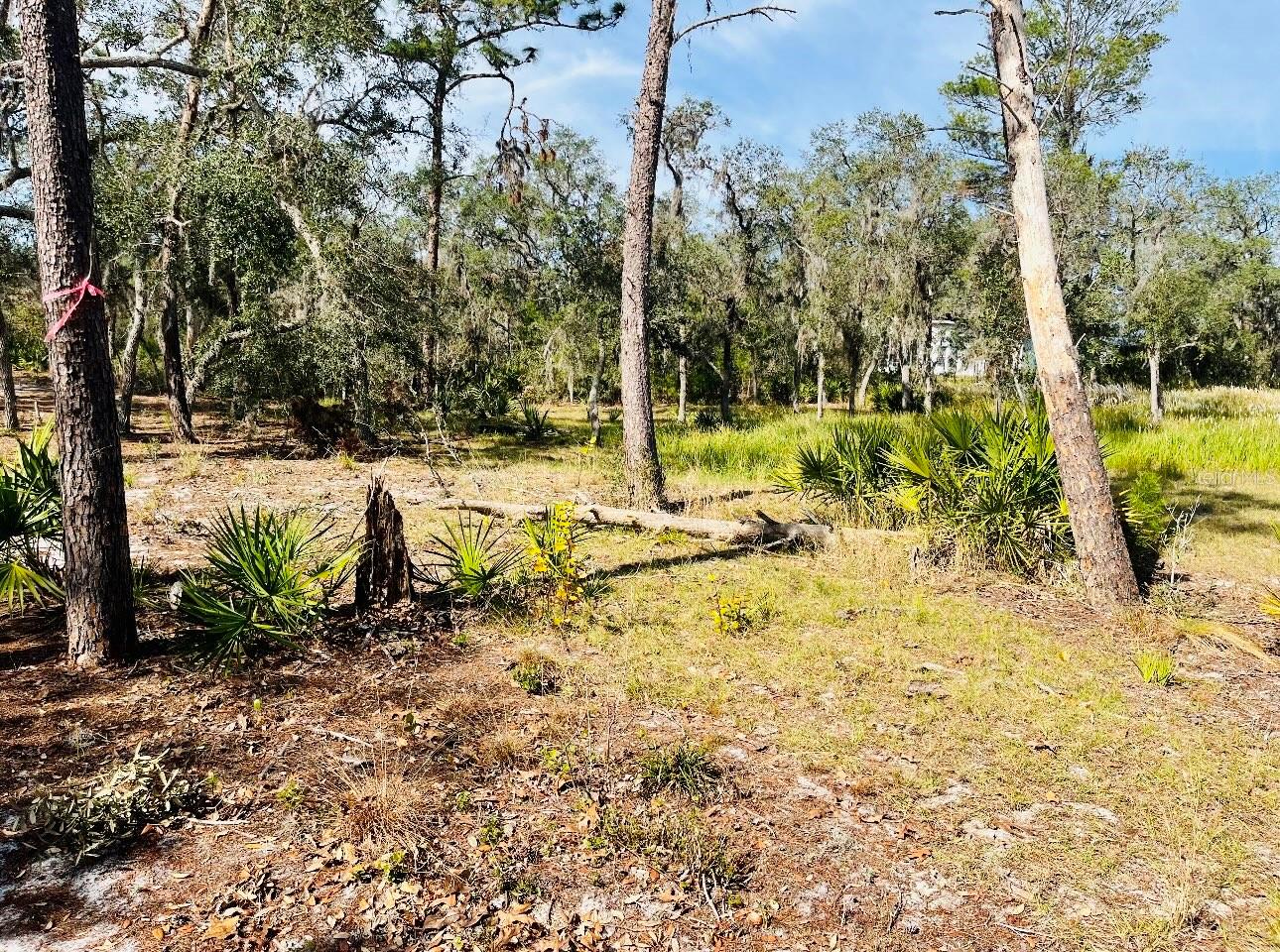 DEER RD, FROSTPROOF, FL, 33843