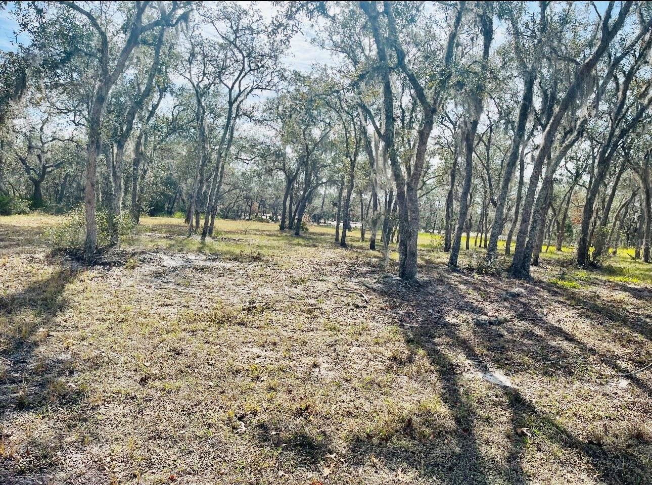 DEER RD, FROSTPROOF, FL, 33843