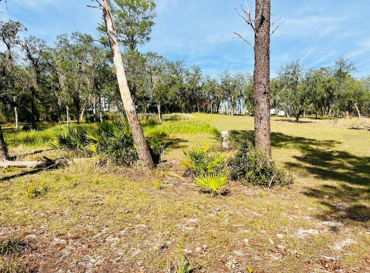DEER RD, FROSTPROOF, FL, 33843