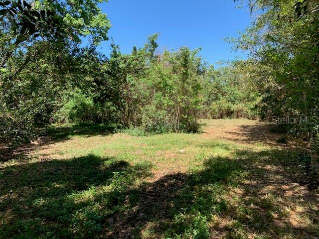 1290 CINDER LN, KISSIMMEE, FL, 34744