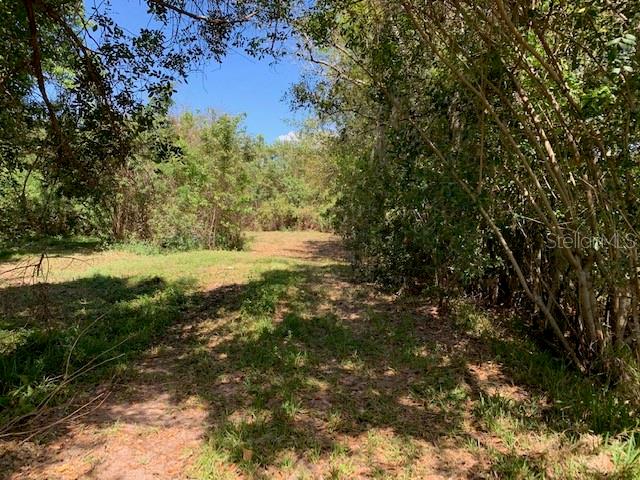 1290 CINDER LN, KISSIMMEE, FL, 34744