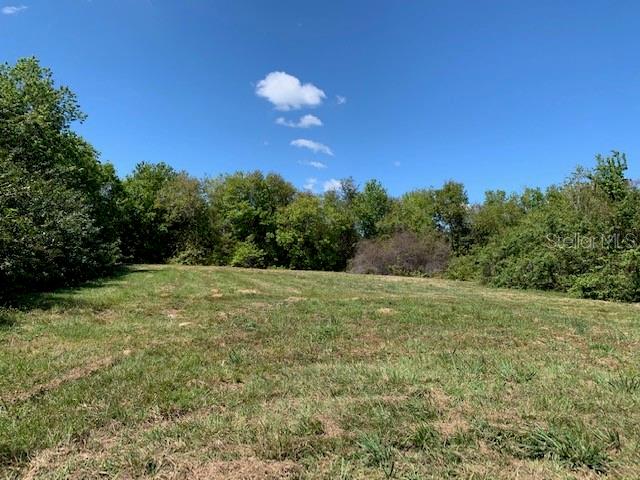 1290 CINDER LN, KISSIMMEE, FL, 34744