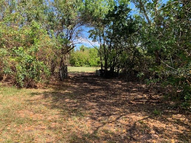 1290 CINDER LN, KISSIMMEE, FL, 34744