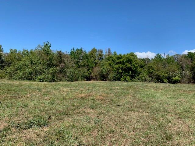 1290 CINDER LN, KISSIMMEE, FL, 34744