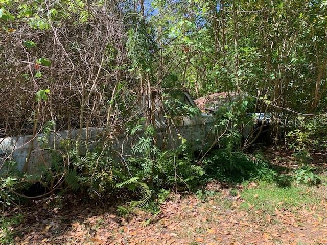 1290 CINDER LN, KISSIMMEE, FL, 34744