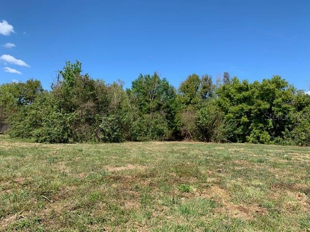 1290 CINDER LN, KISSIMMEE, FL, 34744