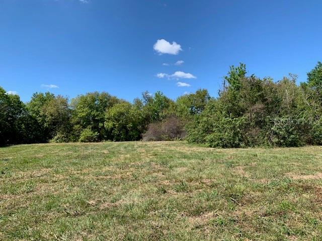 1290 CINDER LN, KISSIMMEE, FL, 34744