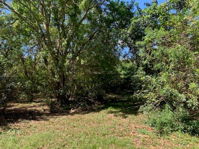 1290 CINDER LN, KISSIMMEE, FL, 34744