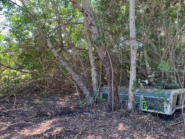 1290 CINDER LN, KISSIMMEE, FL, 34744