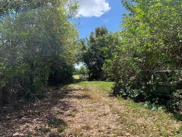 1290 CINDER LN, KISSIMMEE, FL, 34744