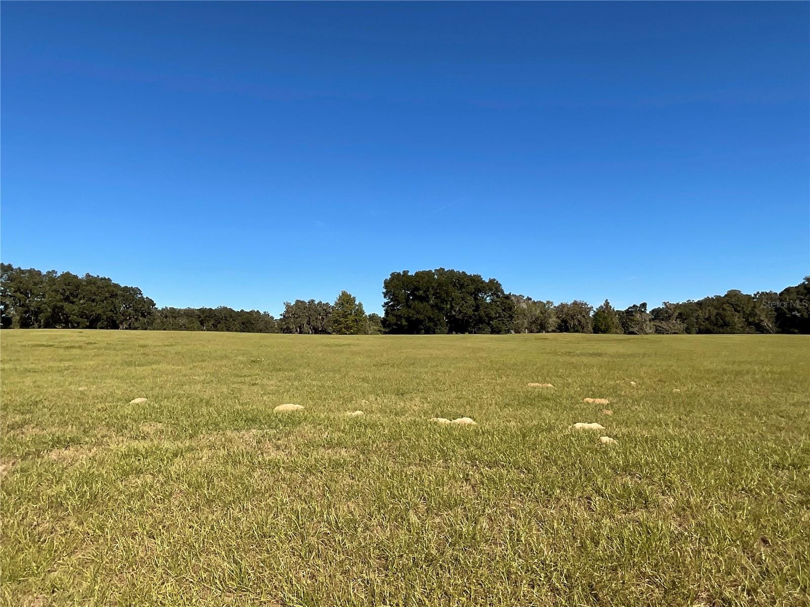 TBD SE 15TH AVE #Lot 1, OCALA, FL, 34480