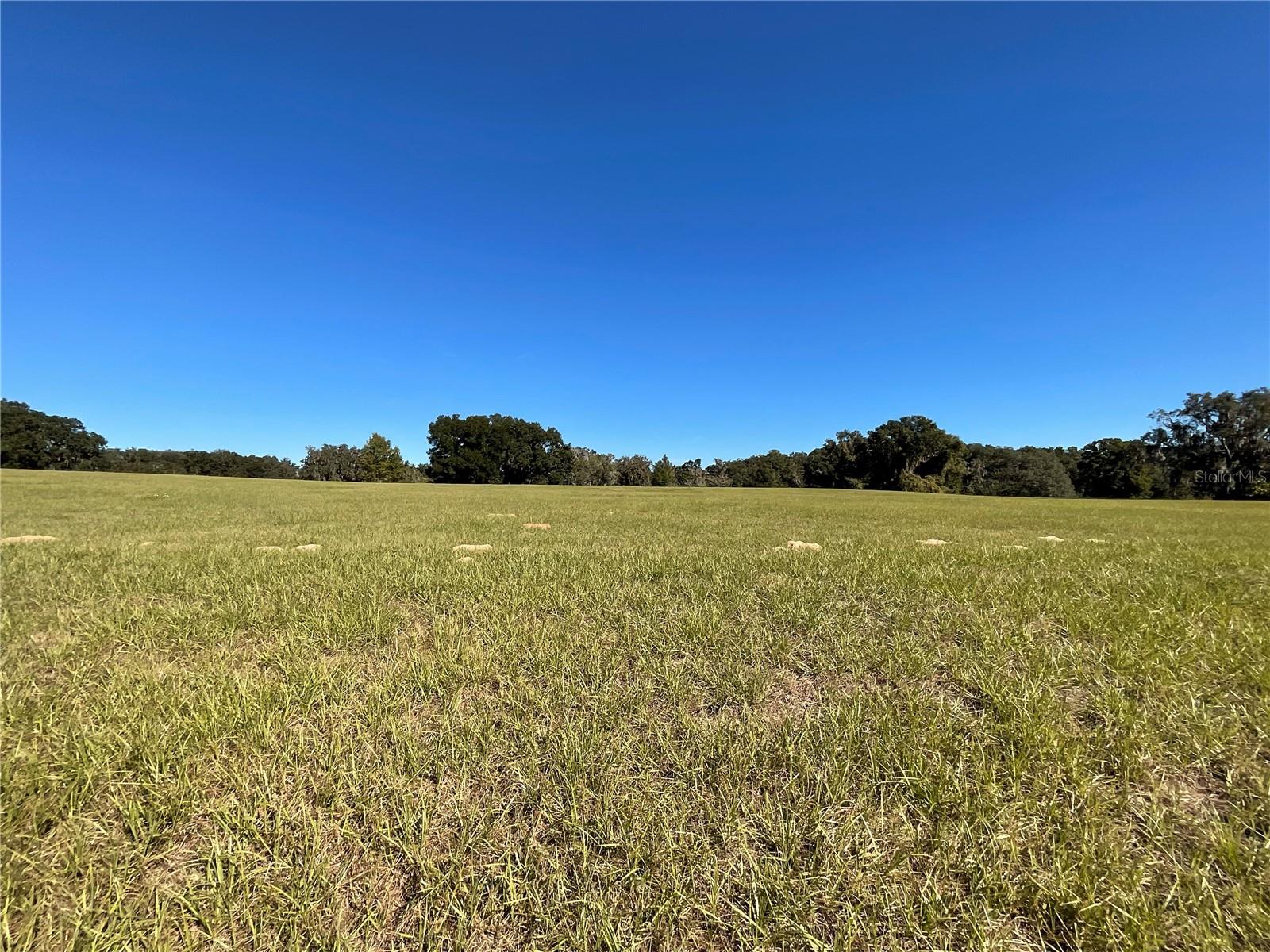 TBD SE 15TH AVE #Lot 1, OCALA, FL, 34480