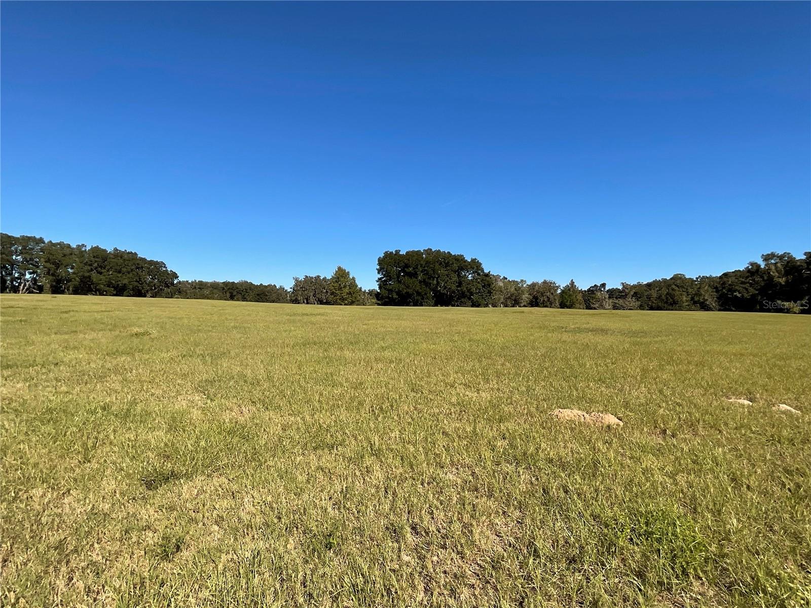 TBD SE 15TH AVE #Lot 1, OCALA, FL, 34480