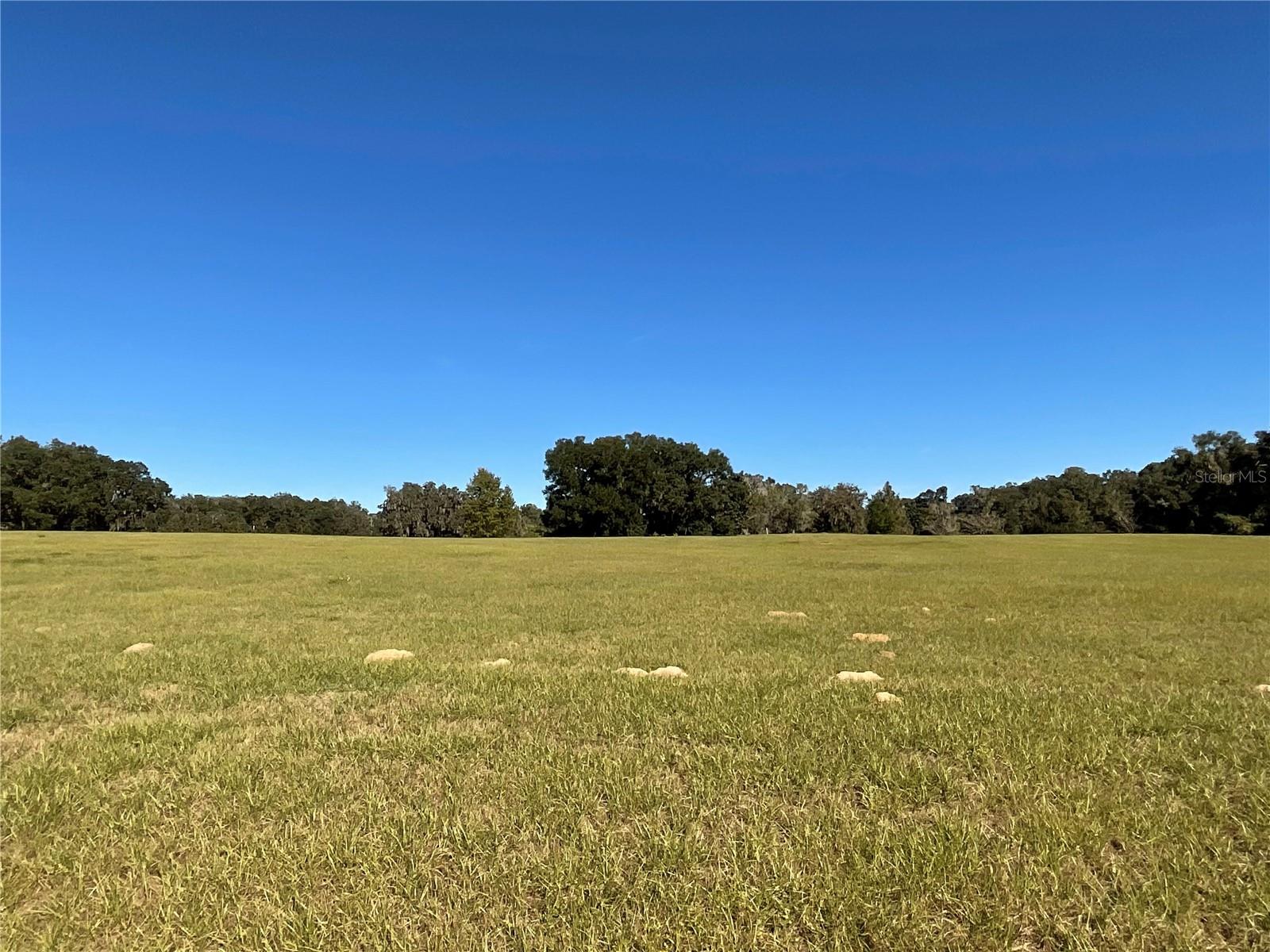 TBD SE 15TH AVE #Lot 1, OCALA, FL, 34480