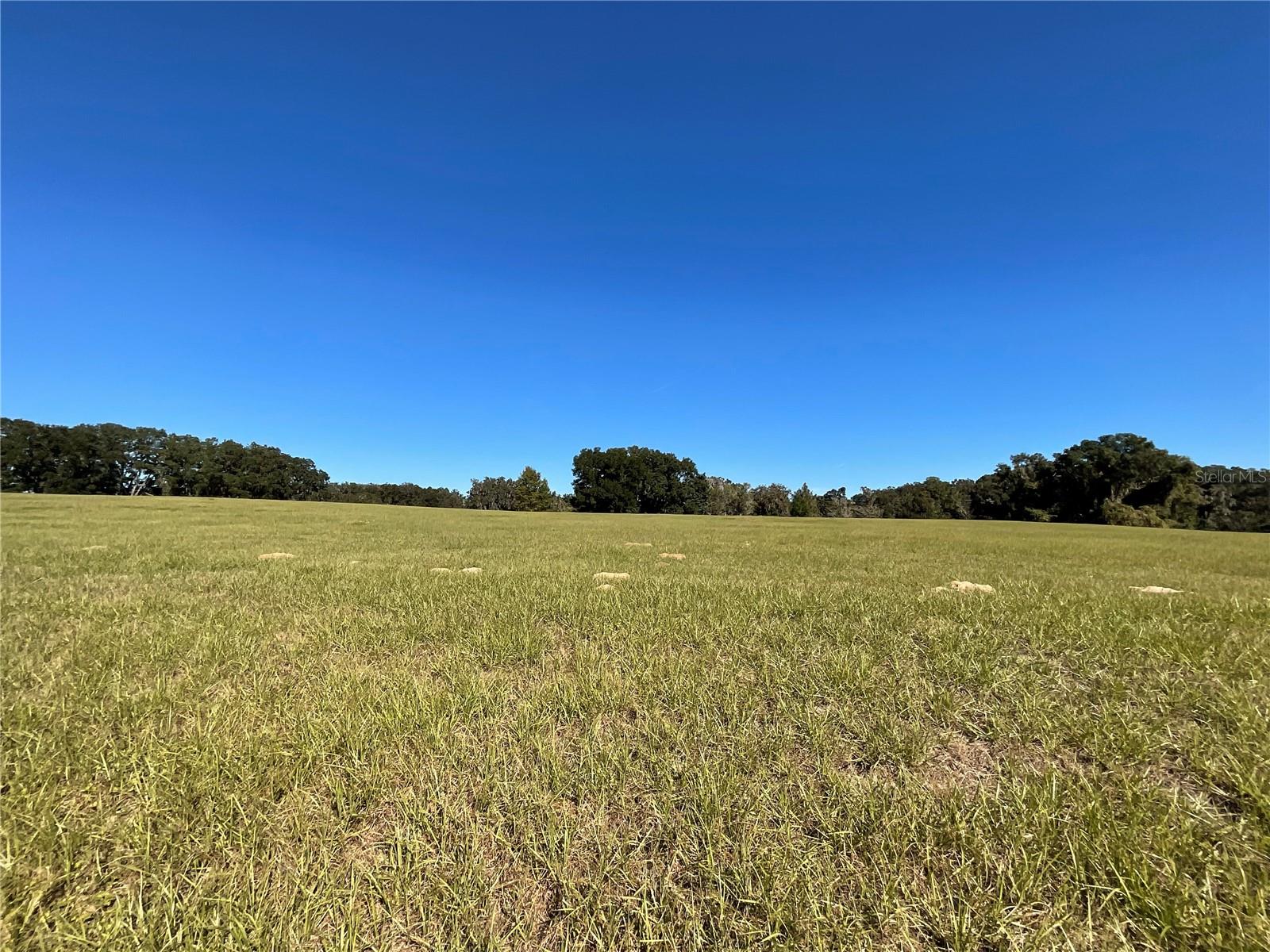 TBD SE 15TH AVE #Lot 1, OCALA, FL, 34480
