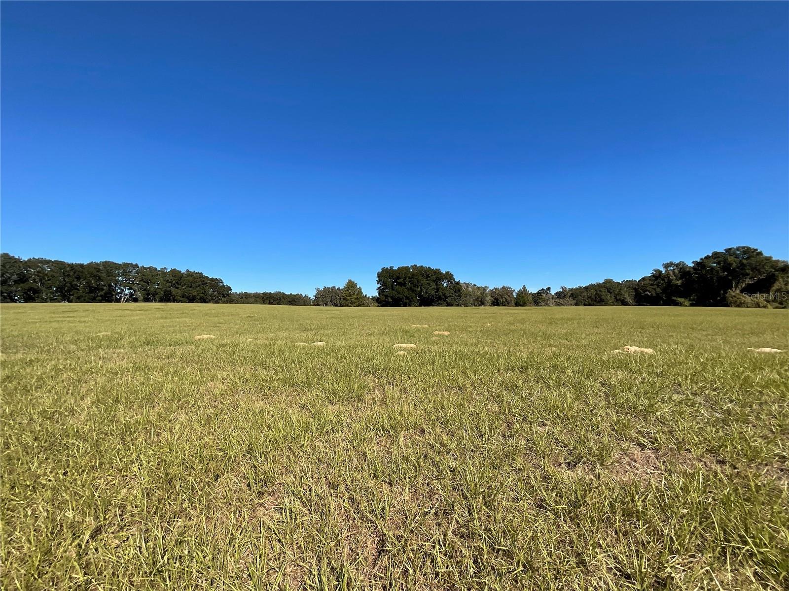 TBD SE 15TH AVE #Lot 1, OCALA, FL, 34480