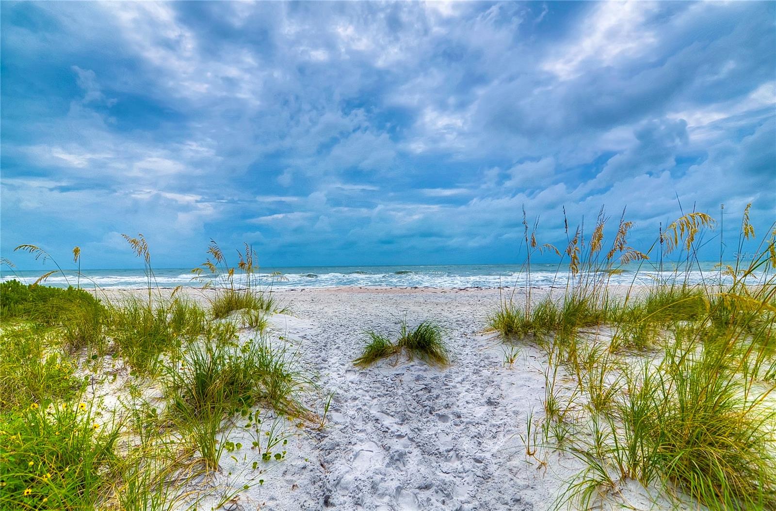 880 MANDALAY AVE #C410, CLEARWATER, FL, 33767