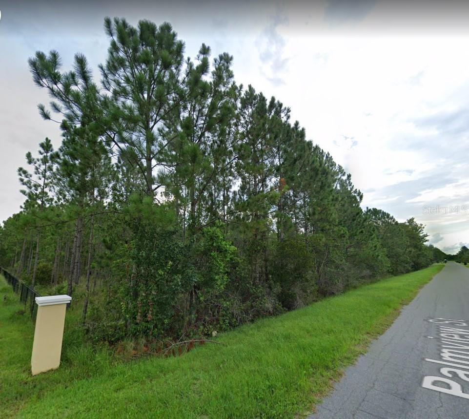 0 PALMVIEW ST, ORLANDO, FL, 32833