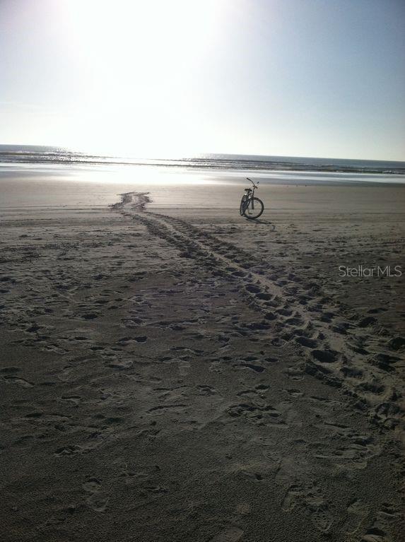 411 S Pine ST, NEW SMYRNA BEACH, FL, 32169