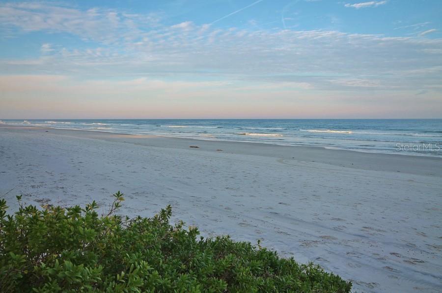 421 SOUTH ATLANTIC AVE #806, NEW SMYRNA BEACH, FL, 32169