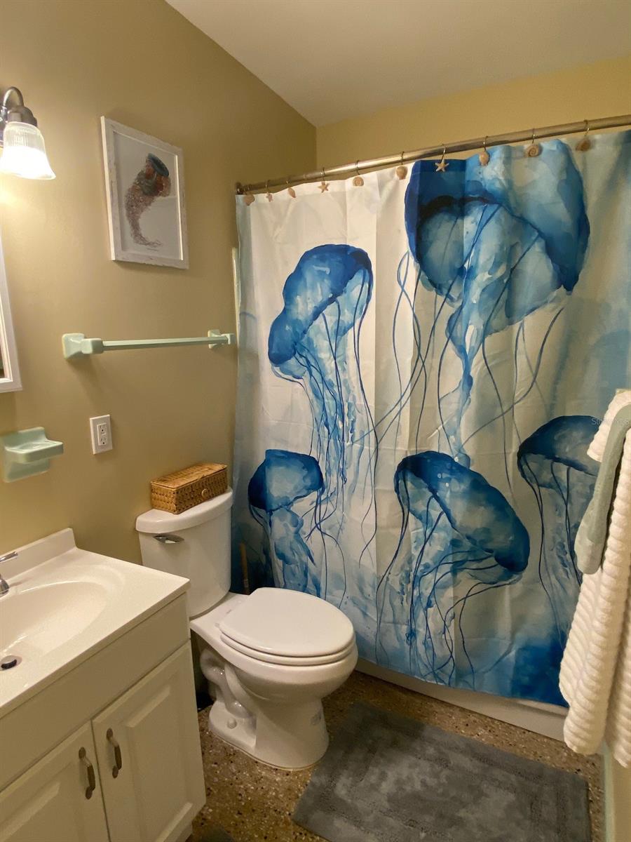 229 Robinson RD, NEW SMYRNA BEACH, FL, 32169